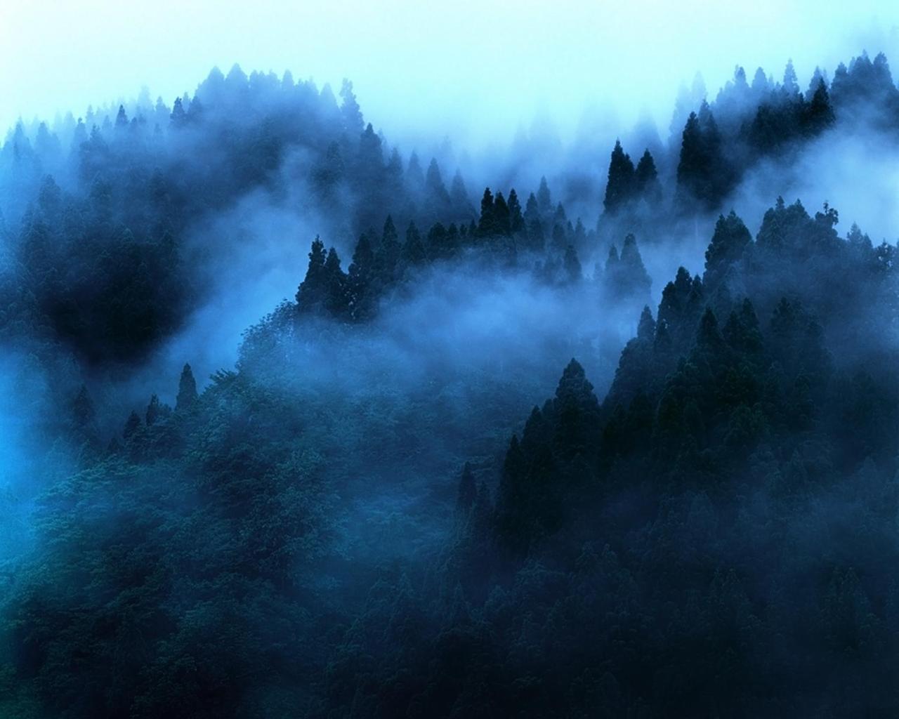 "Mount'N Mist" Apartamento Ella Exterior foto