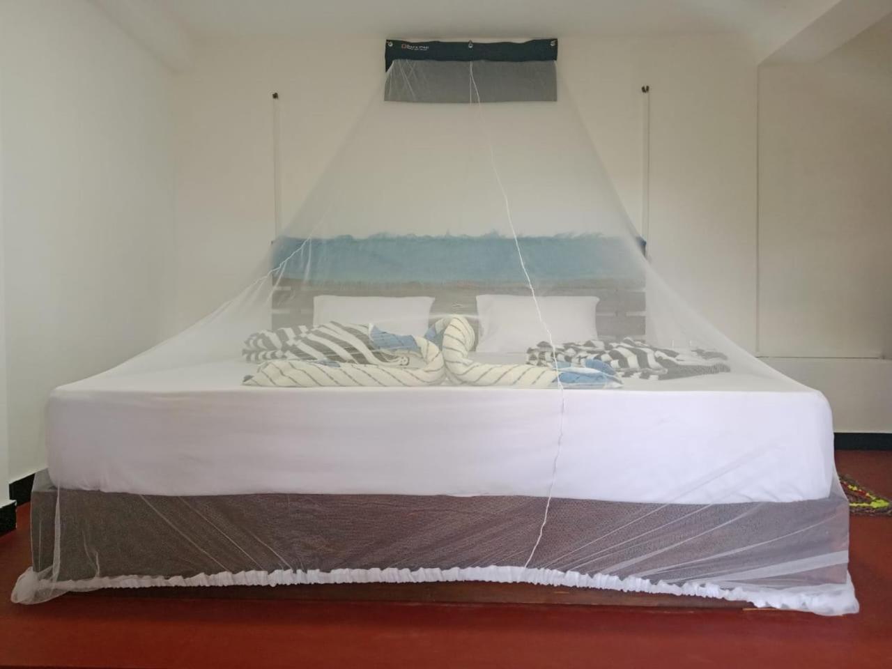 "Mount'N Mist" Apartamento Ella Quarto foto